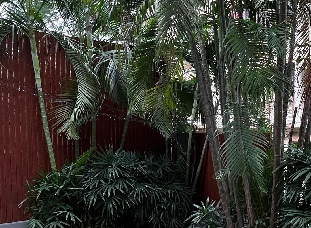 Fence and Bench, Chembur 