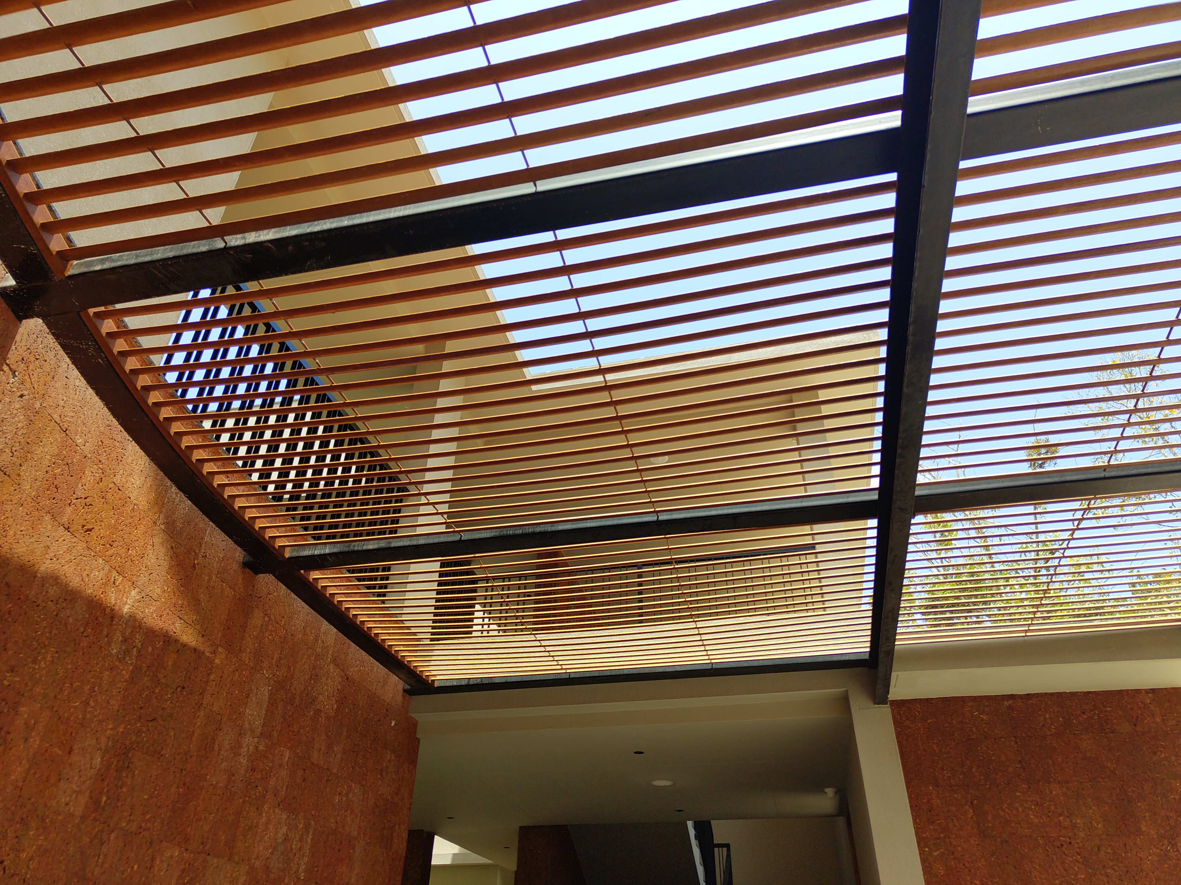 Privacy Screens and Pergola