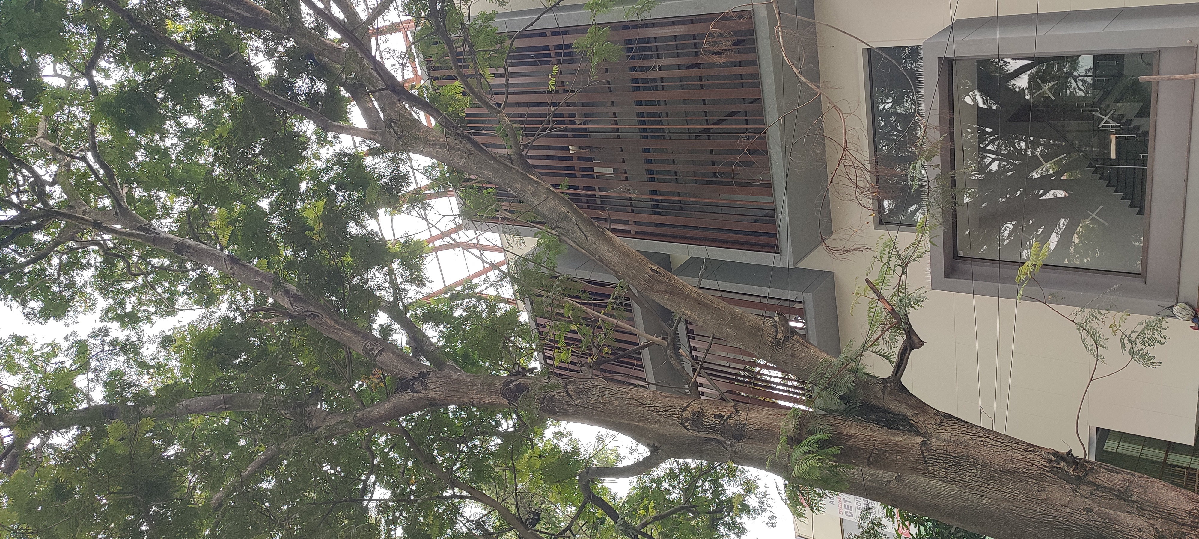 Jayanagar 4th block