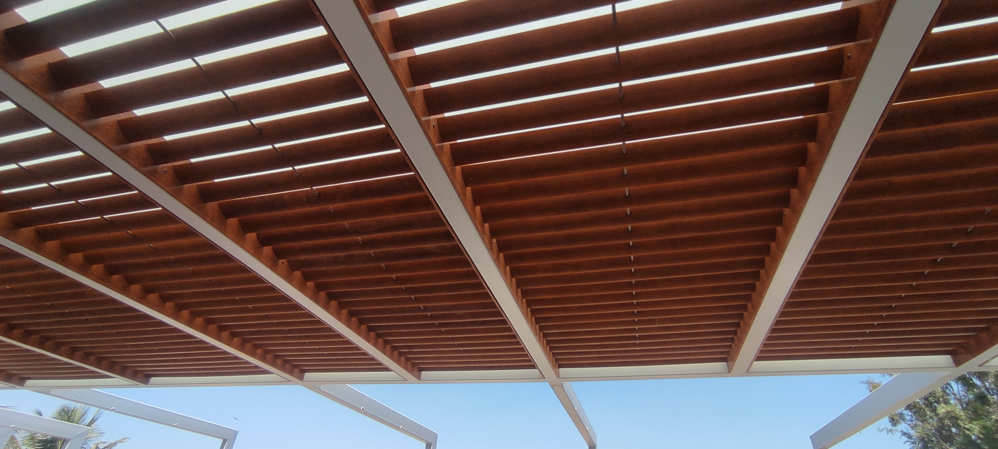 Pergola and Screens