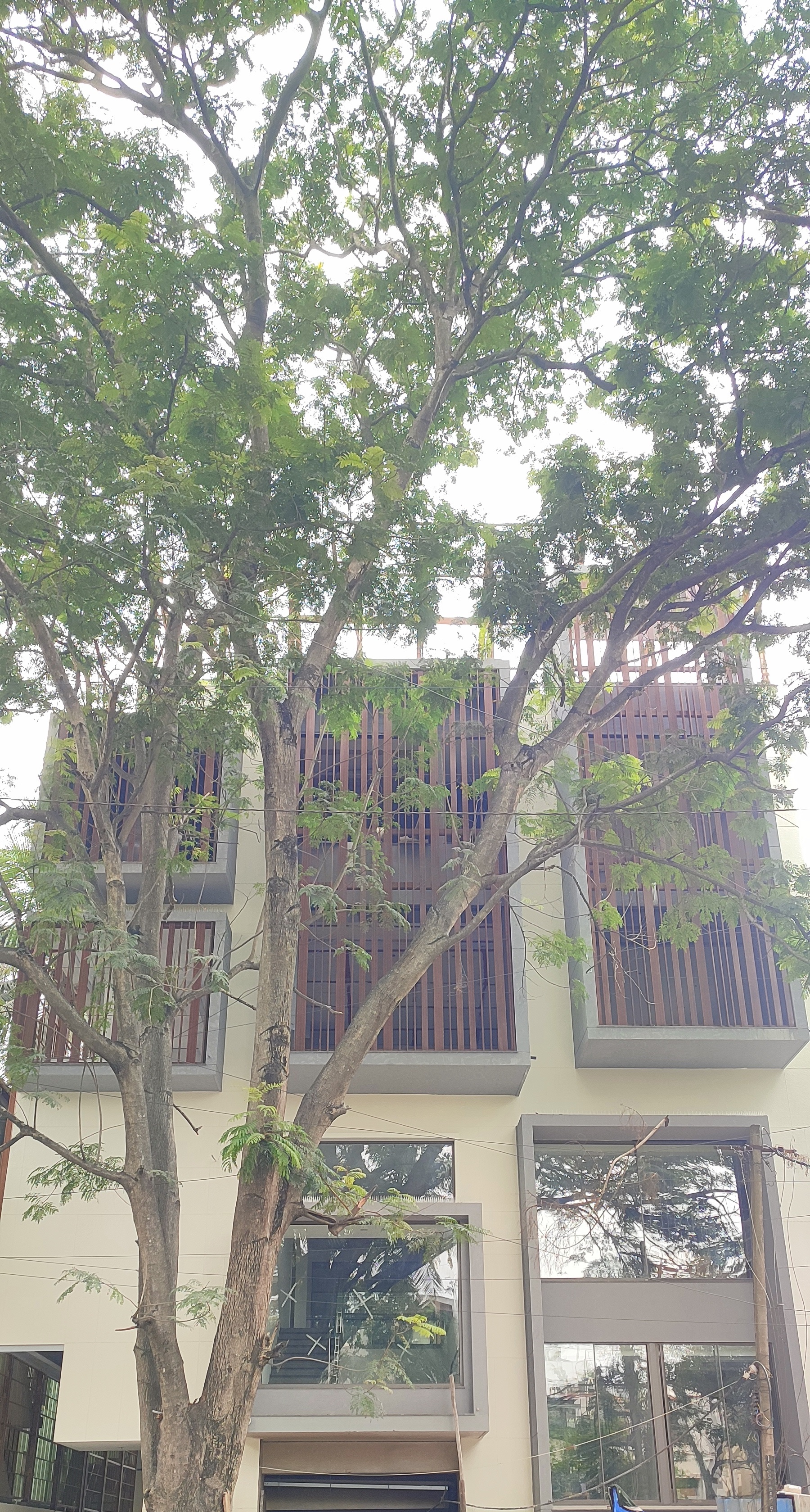 Jayanagar 4th block
