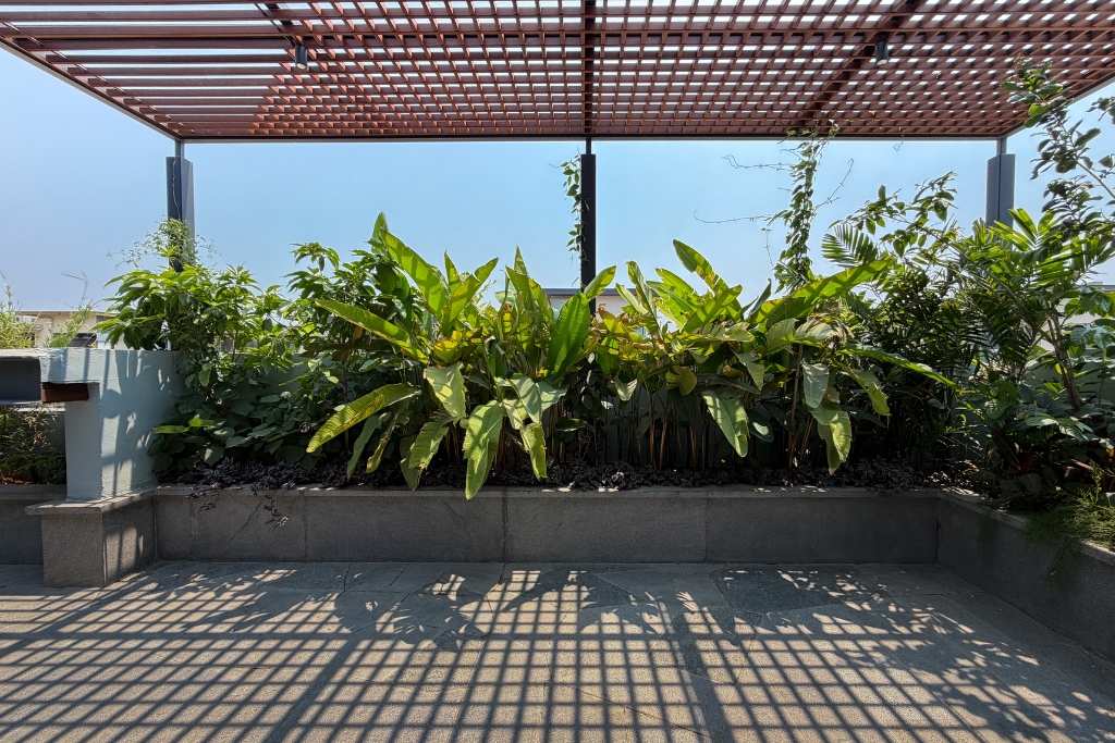 Terrace Pergola and Cladding