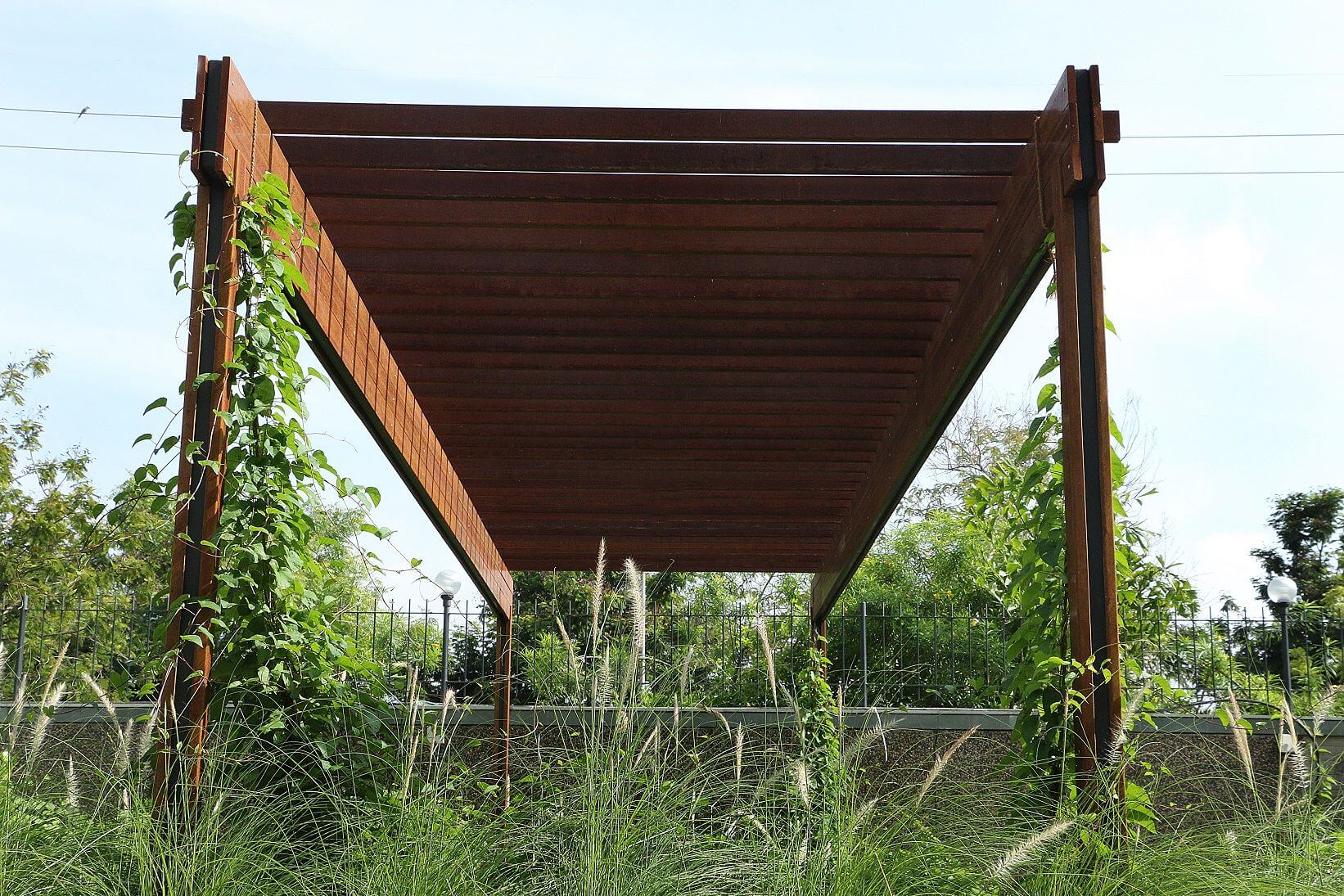 Garden Trellis