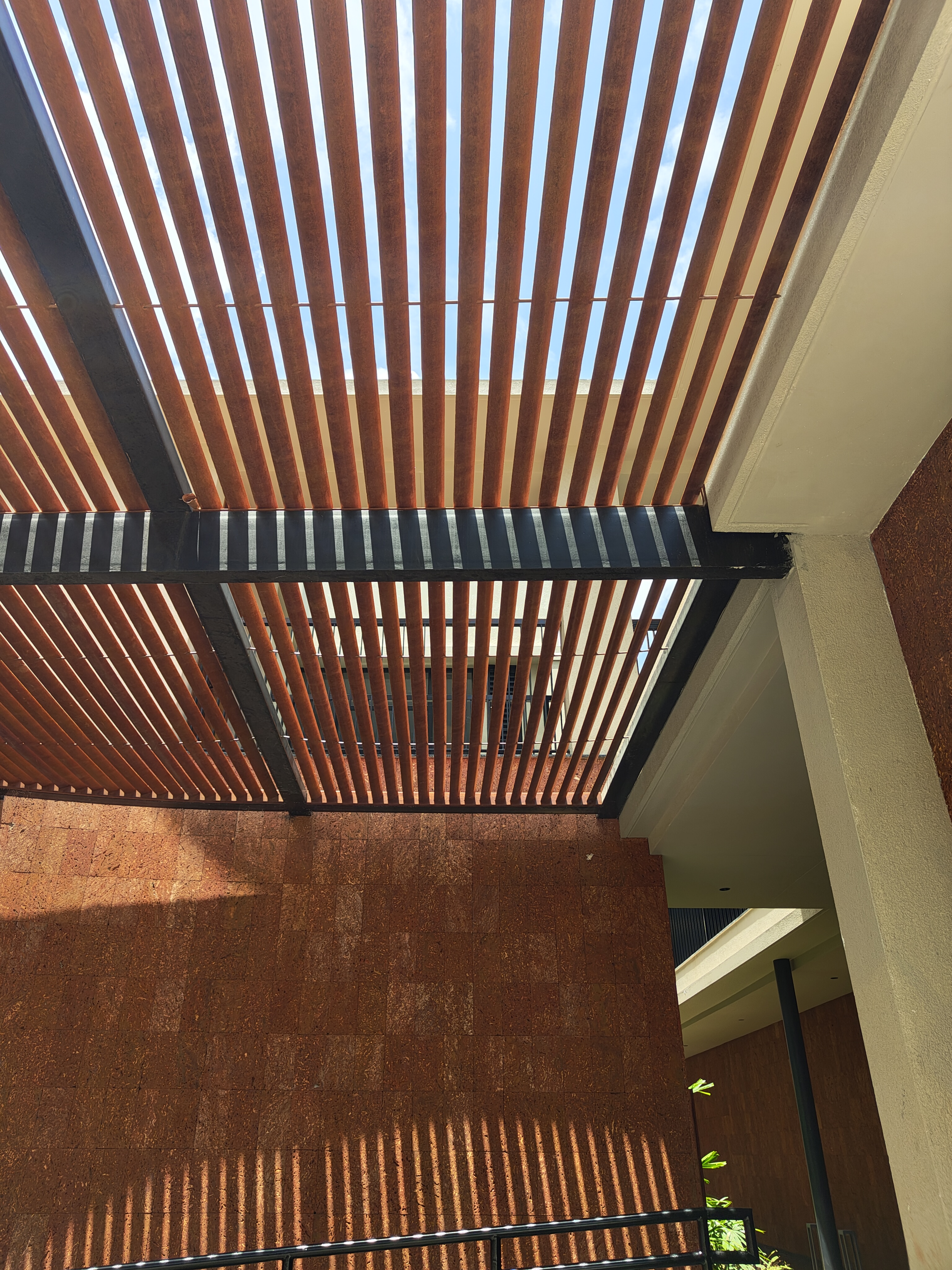 Privacy Screens and Pergola