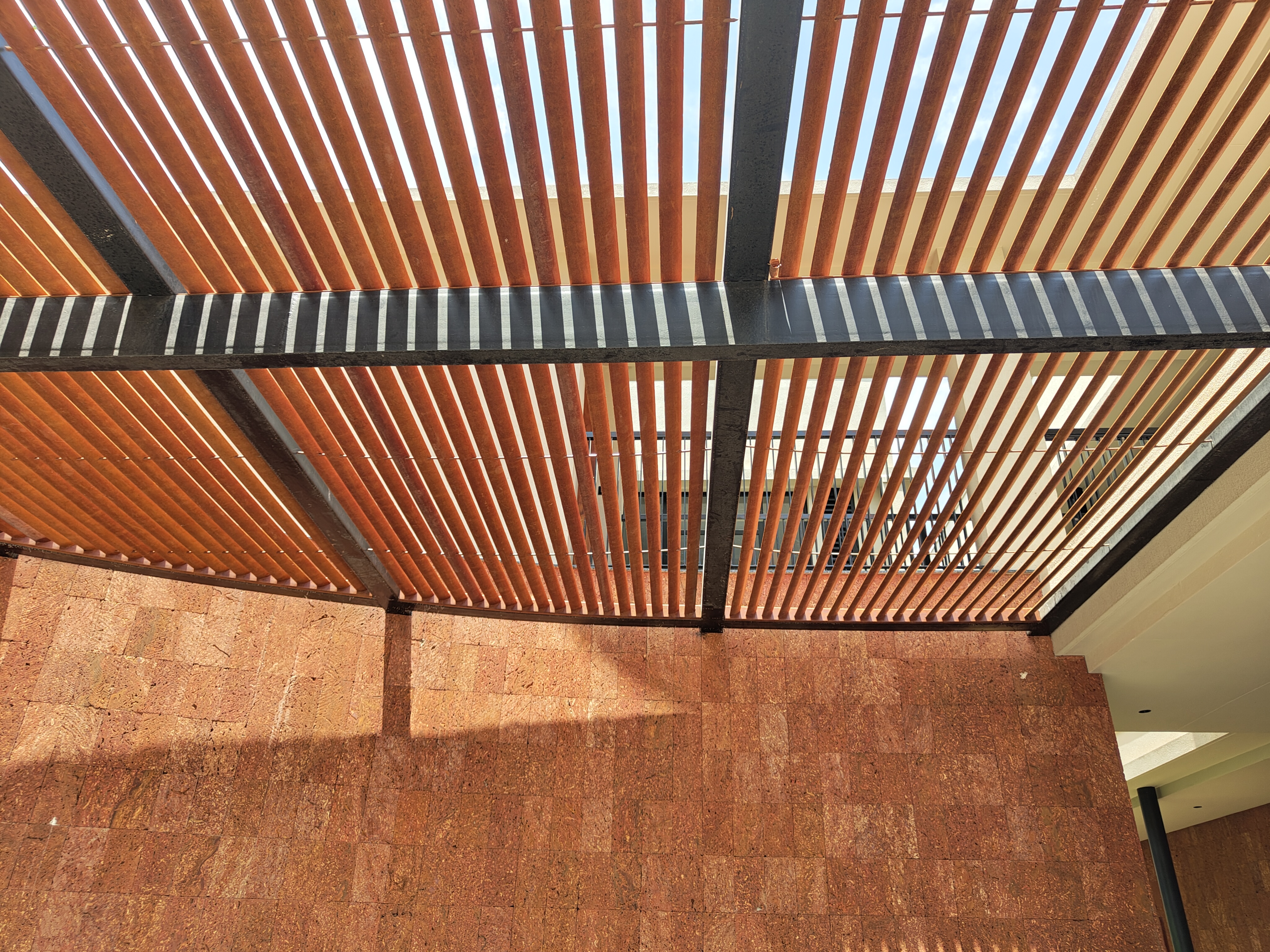 Privacy Screens and Pergola